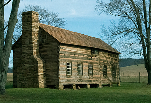 The Drane House